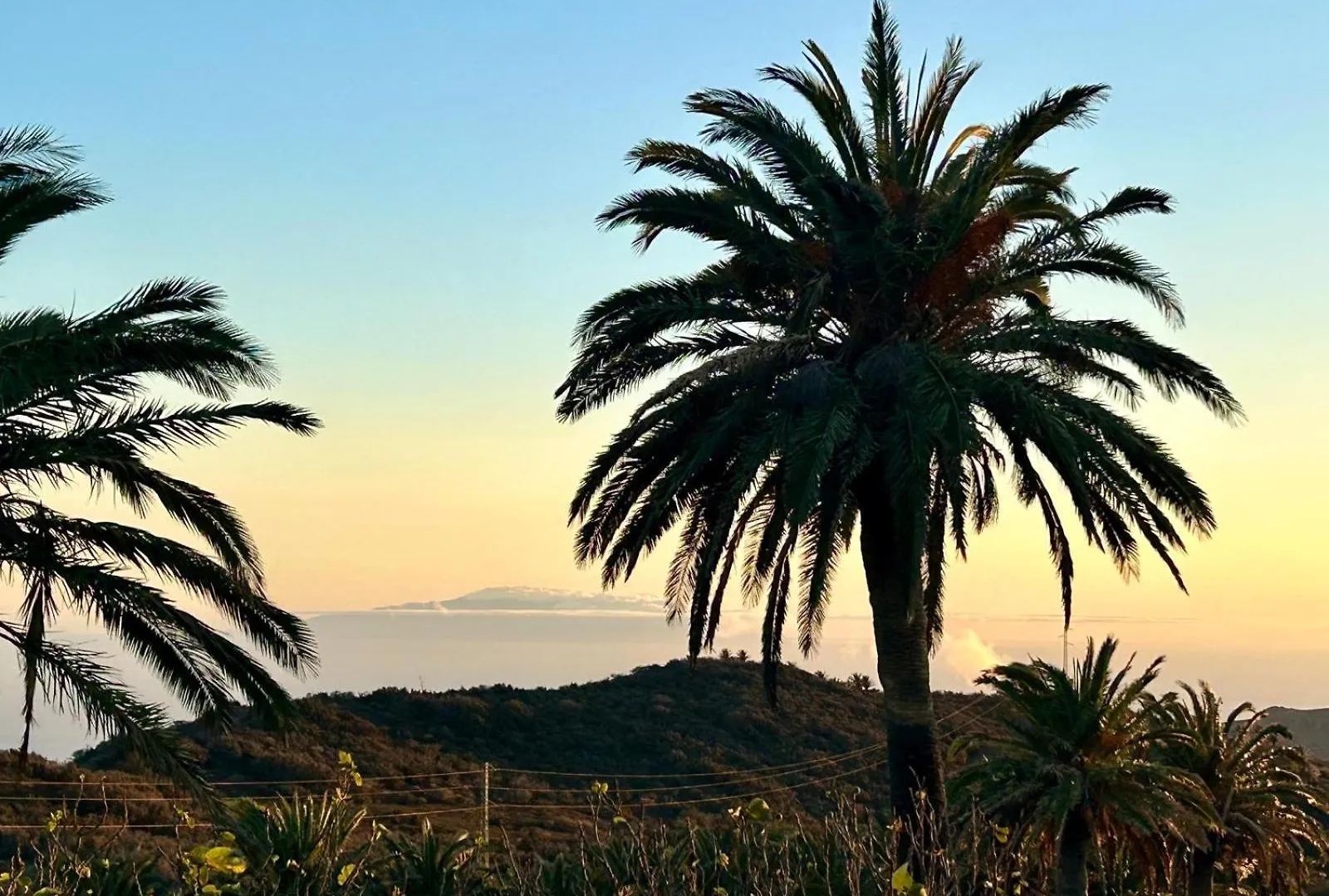 Jardin Las Hayas Pensionat Valle Gran Rey Spanien