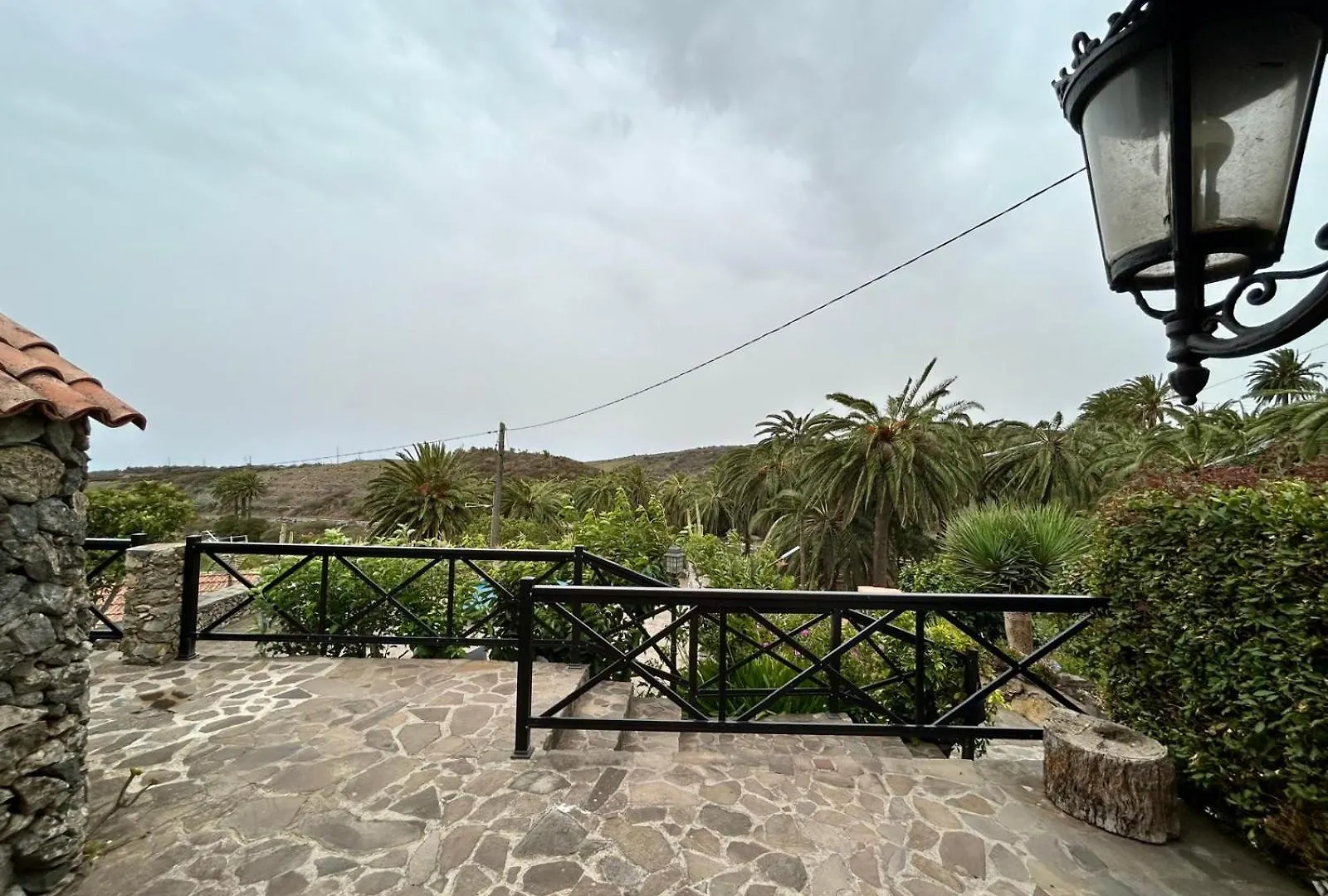 Jardin Las Hayas Valle Gran Rey