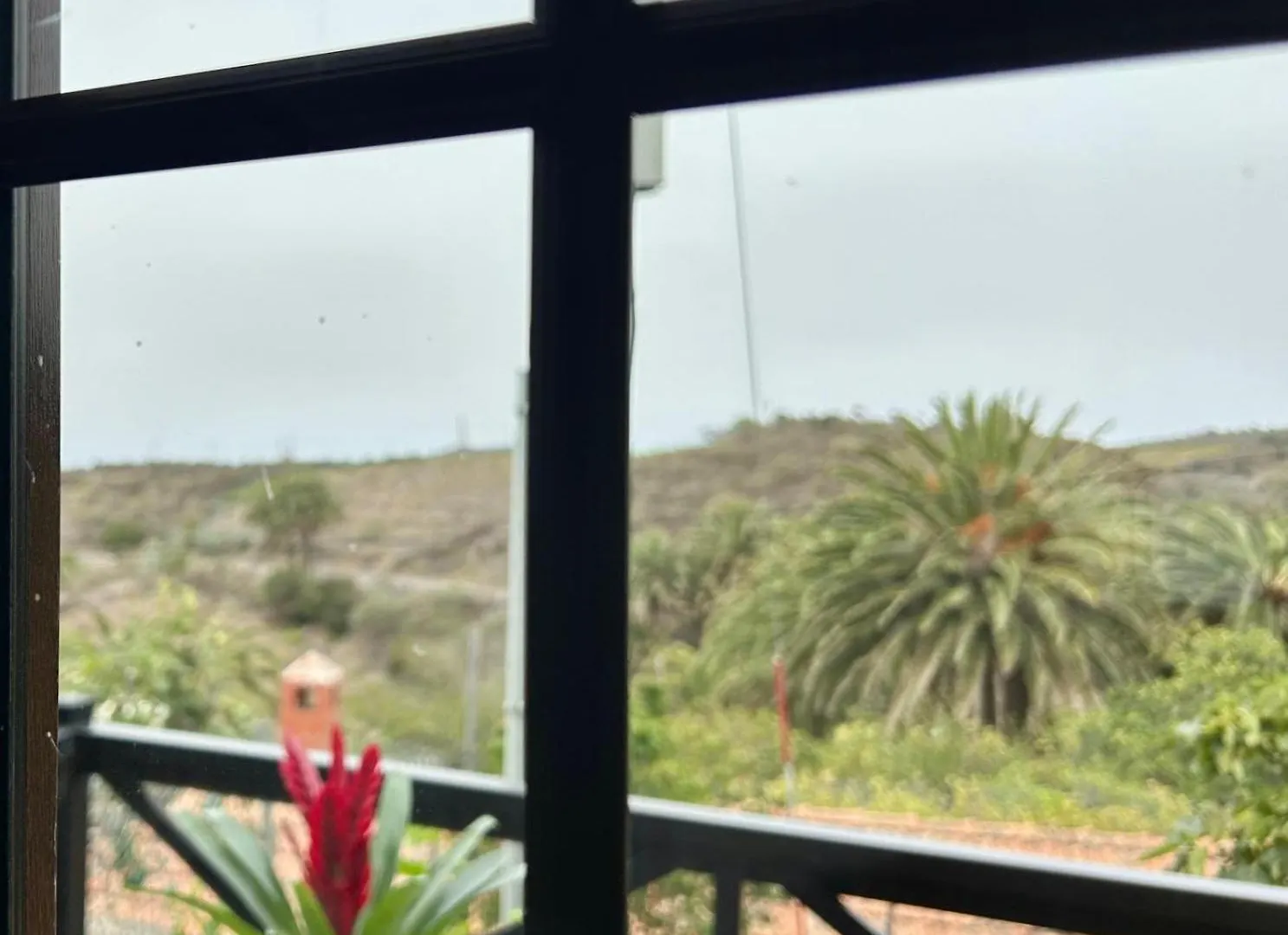 Jardin Las Hayas Valle Gran Rey
