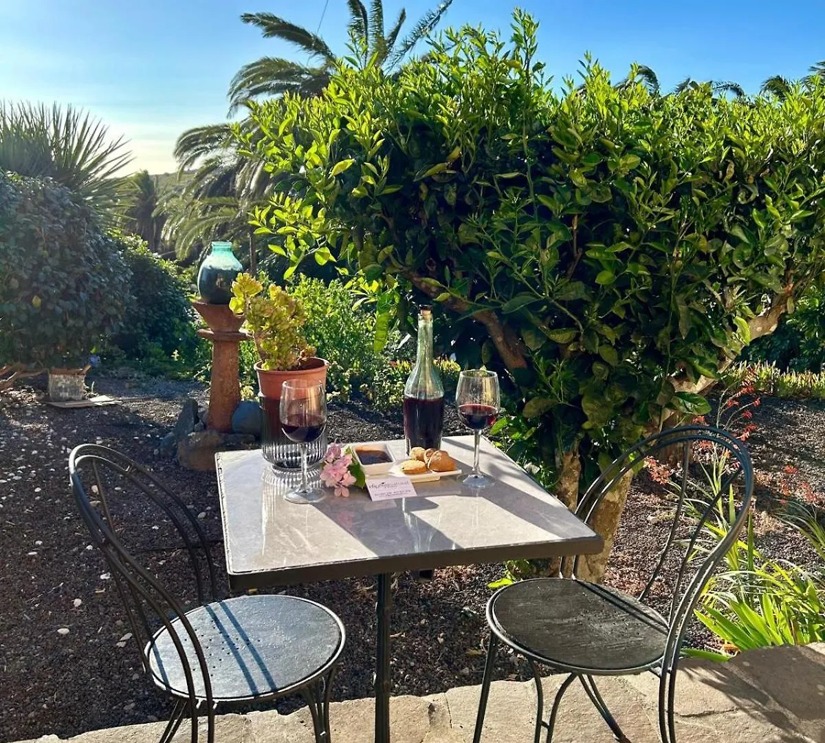 Jardin Las Hayas Valle Gran Rey Country house