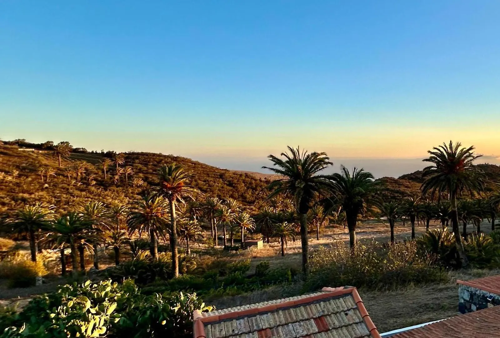 Jardin Las Hayas Valle Gran Rey 0*,  Spain