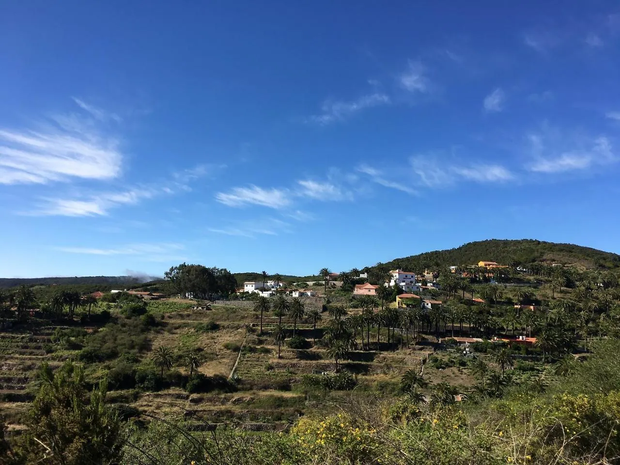 Jardin Las Hayas Valle Gran Rey Spain